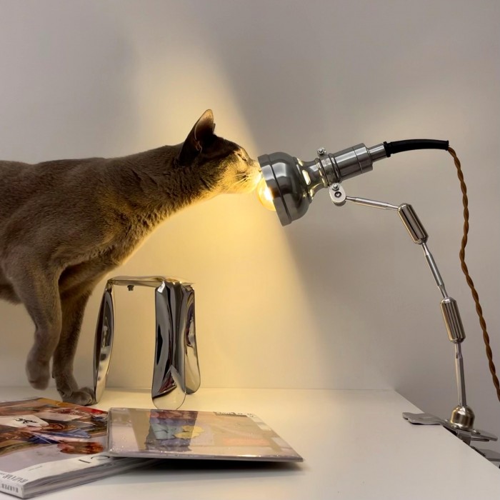 Vintage clip-on industrial lamp Series