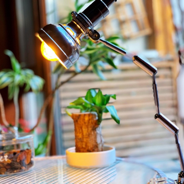 Винтажная промышленная лампа с клипсой Серия