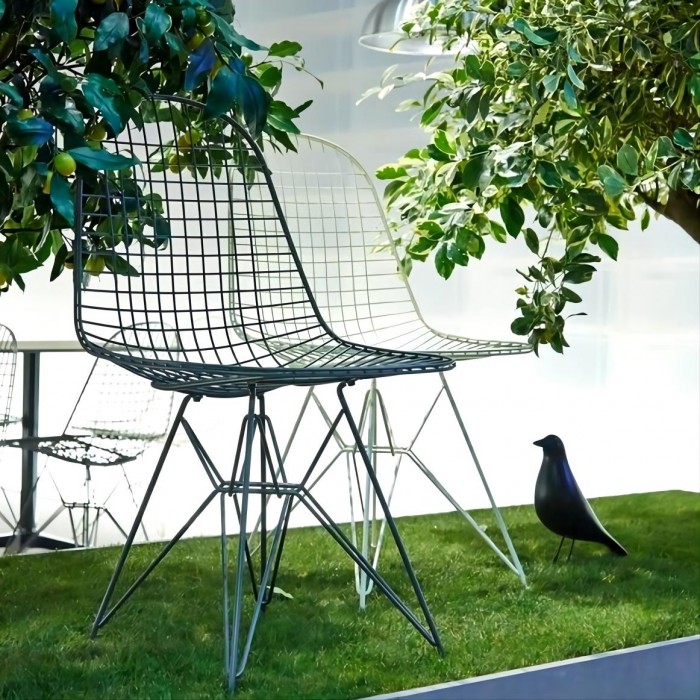 Eames House Bird