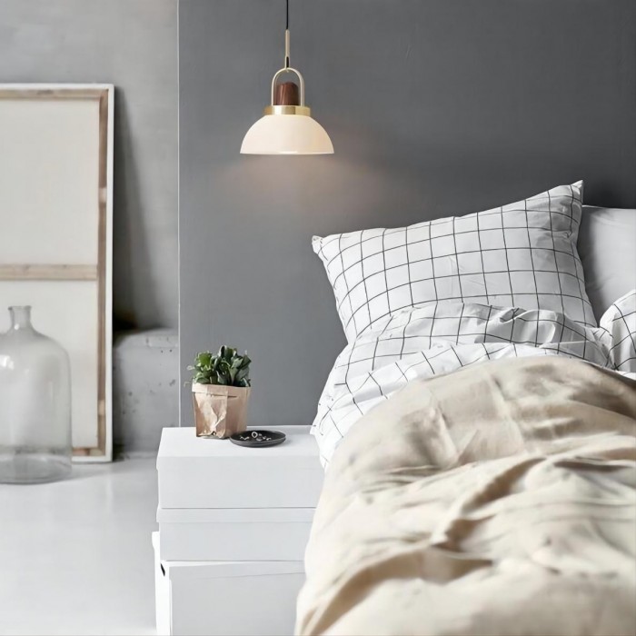 Pendant Lamp Arc Globe