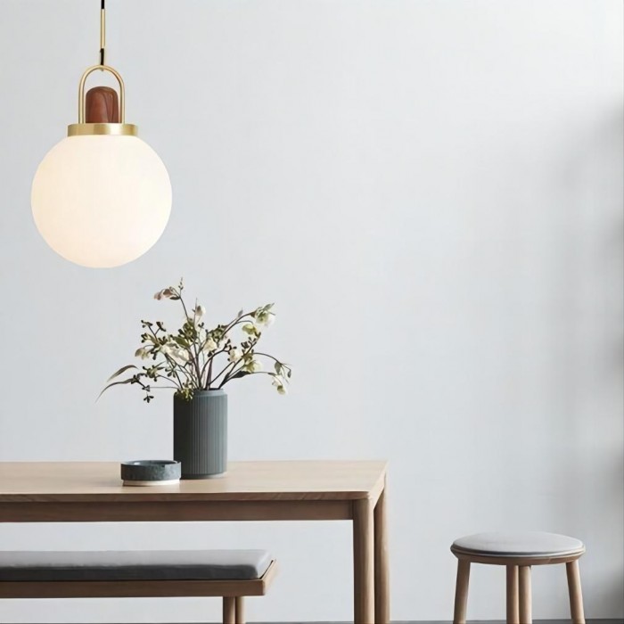 Pendant Lamp Arc Globe