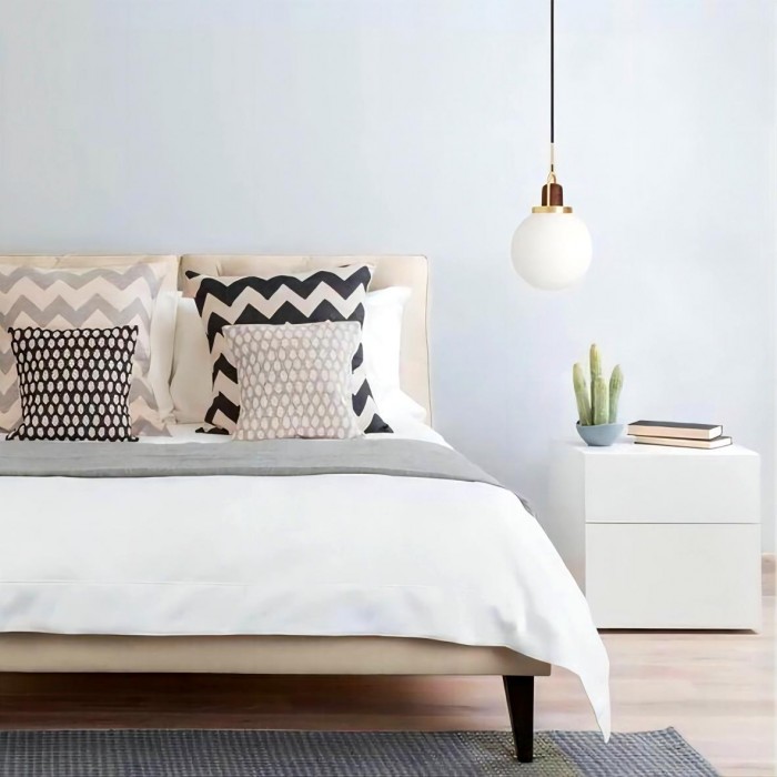 Pendant Lamp Arc Globe