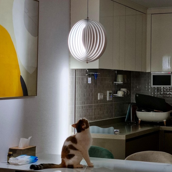 Вращающаяся подвесная лампа из верпана