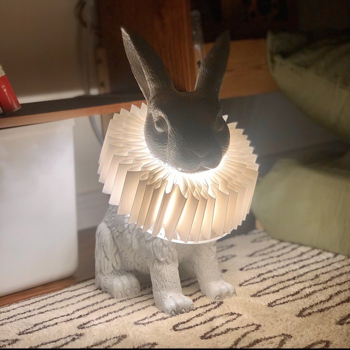 Modern rabbit table lamp