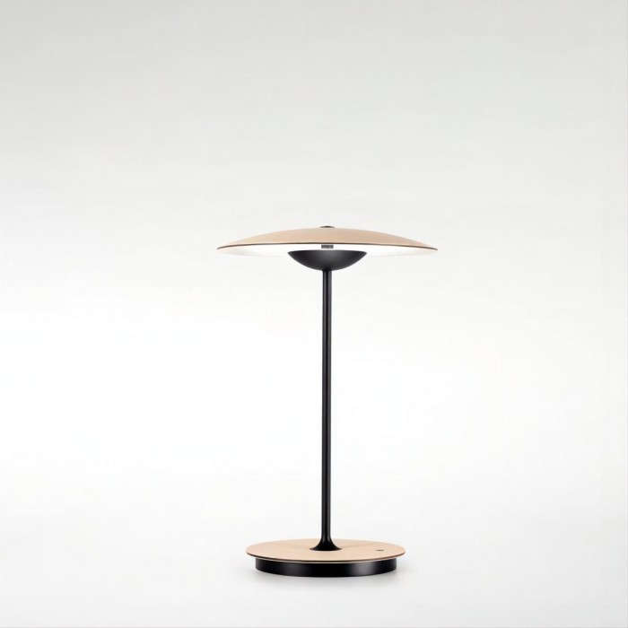 Industrial Ginger 20 M table lamp