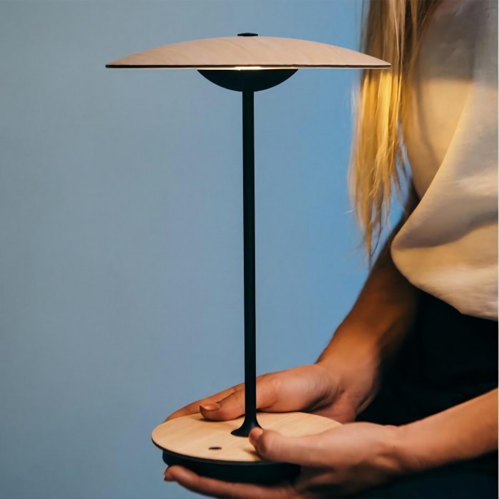 Industrial Ginger 20 M table lamp