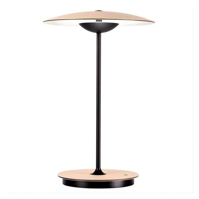 Industrial Ginger 20 M table lamp