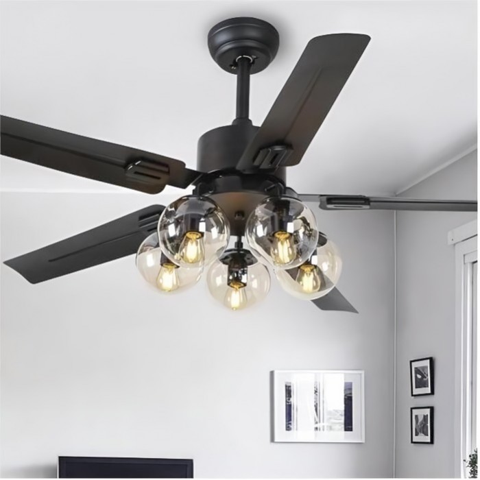 Ceiling Fan Light