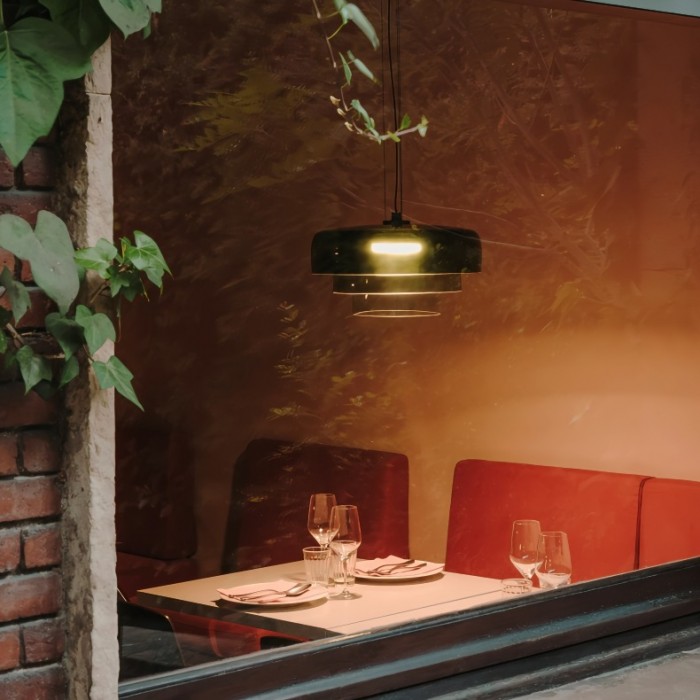 Modern Glass Orb Bowl shaped Pendant Lamp