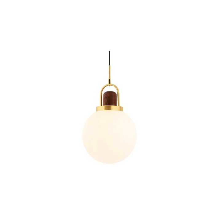 pendant lamp arc globe