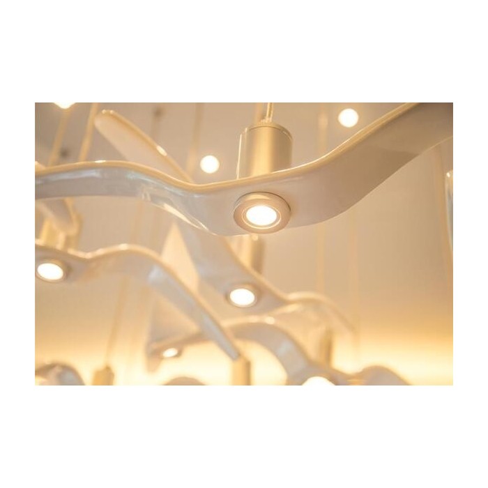 Night Birds hanging lamp