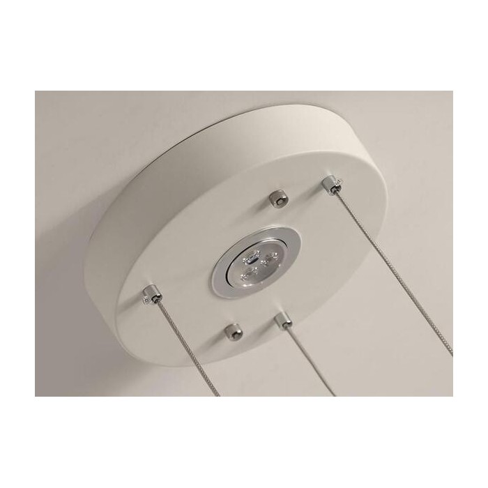 Night Birds hanging lamp