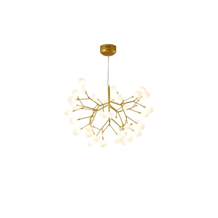 Heracleum chandelier
