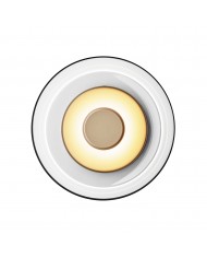 Настенный светильник Биосси