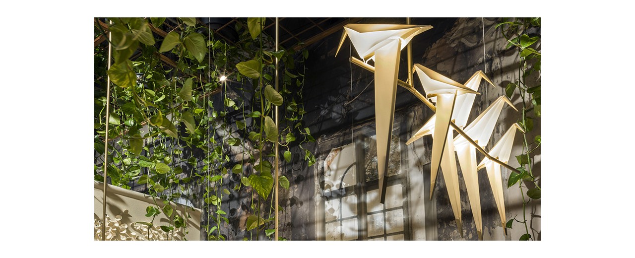 How to buy the best quality perch light replica